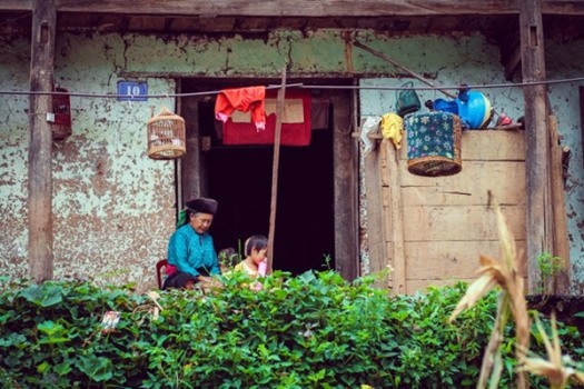 Visiter le village des Hmongs, c'est le lieu idéal pour découvrir leur vie quotidienne  
