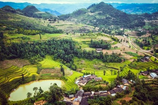 A Ha Giang, les rizières plantées en gradins sont remarquables   