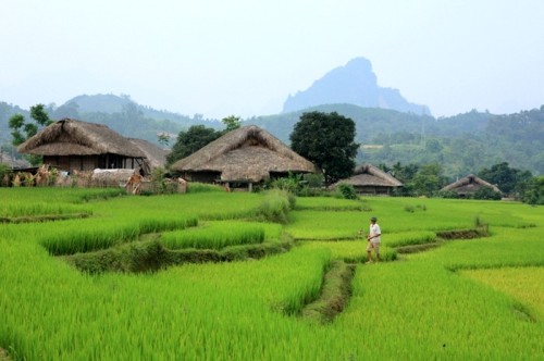 Village de l'ethnie Tày à Ha Giang 