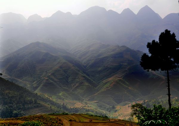 Le plateau de Dong Van est l’unique parc géologique mondial du Vietnam (Photo prise par Hoa Luu)