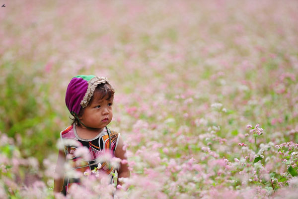 Enfant Hmong à Ha Giang